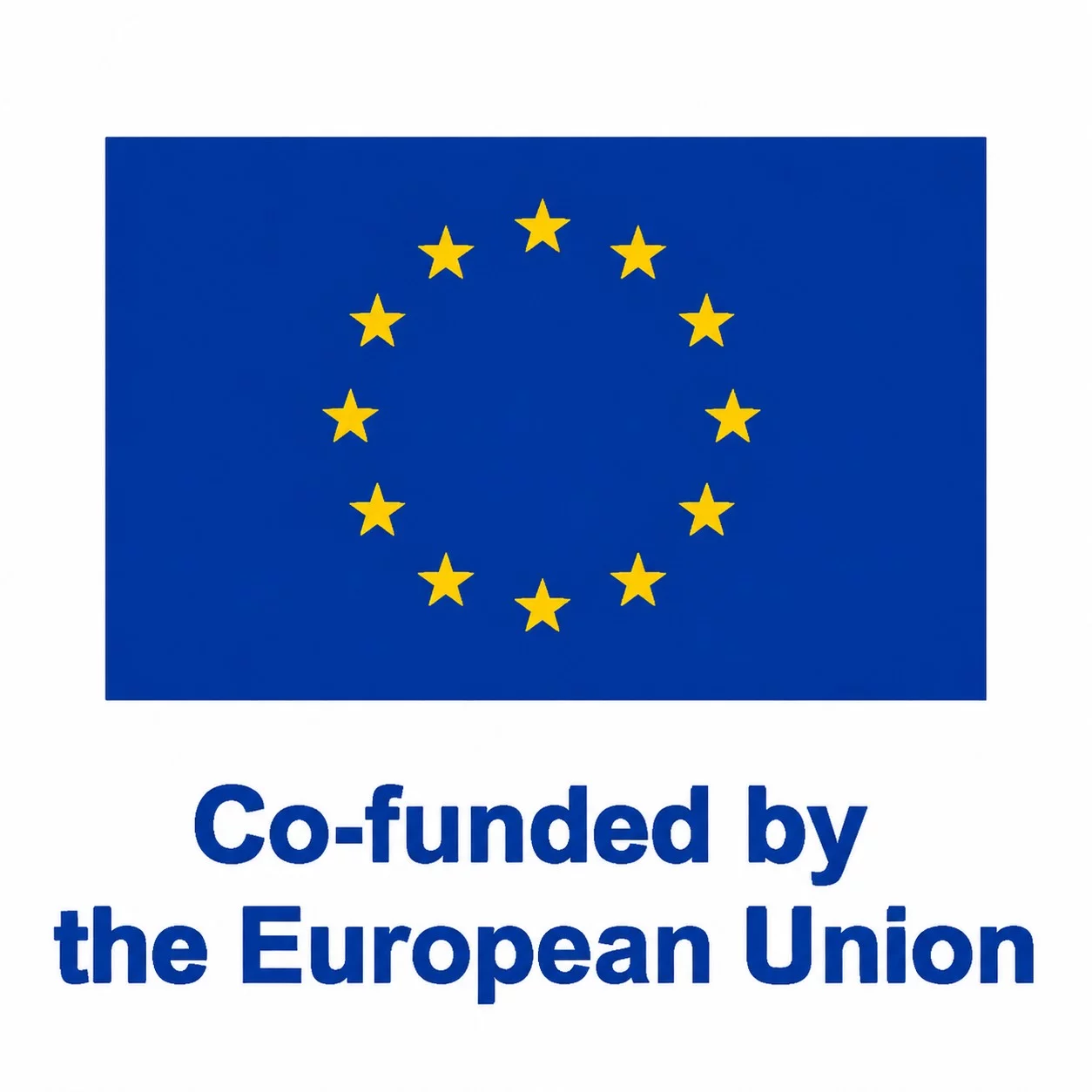 Co-funded by the European Union